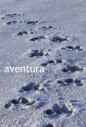 aventura